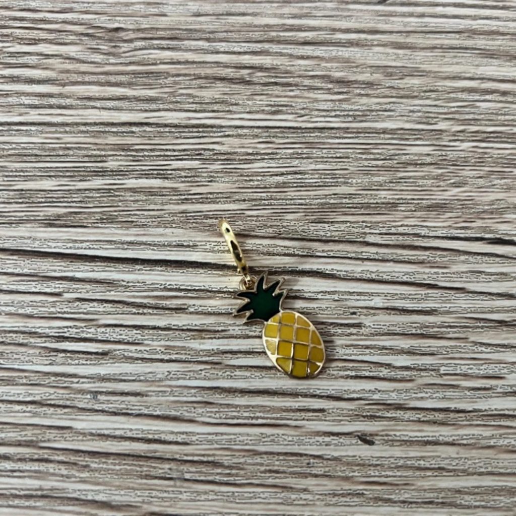 Pineapple Bikini Top Charm image 4