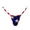 Stars & Stripes Nano Bikini Bottom