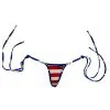 Stripes & Stars Tie Sides Bikini Bottom