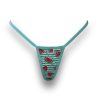 summer watermelon aqua mini